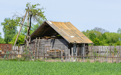 Obraz premium The nature of Belarus. Belarusian village.