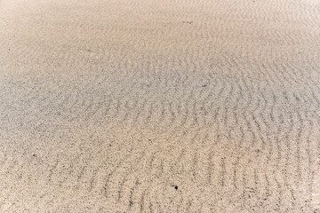 Texture of sand on the beach on a sunny day.