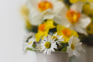 Daffodils and Daisies 