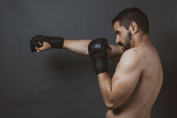 Fototapeta na wymiar adult boxer posing in a photo studio