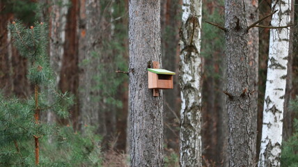 Budka lęgowa dla ptaków. Legoaw box for birds