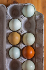 Farm fresh multicolored chicken eggs