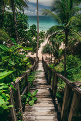 Pathway in tropical jungle. Way to beach Palm trees, white sand and blue sea, perfect summer vacation landscape or holiday banner. Beautiful tourism destination Phuket. Vertical photo