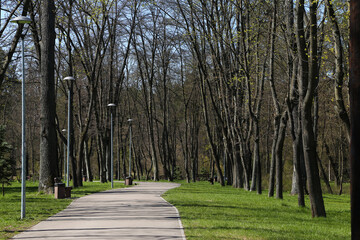 Hiking road in the park
