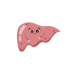 Нuman internal organs liver