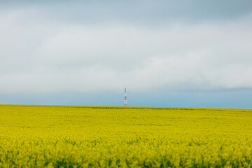 Country antena with 5G in yellow rapeseed filed