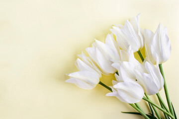Spring delicate tulips on a white wooden background. Top view flower arrangement.