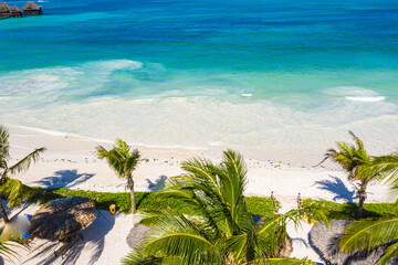 Fototapeta na wymiar Aerial view of palms on the sandy beach of Indian Ocean at sunny day. Summer holiday in Zanzibar, Africa. Tropical landscape with palm trees, white sand, blue water, hotels. Top view of sea coast