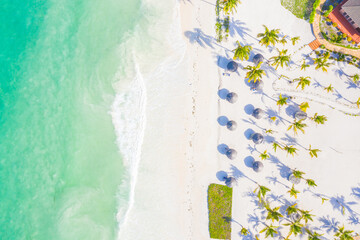 Aerial view of tropical sandy beach with palms and umbrellas at sunny day. Summer holiday on Indian Ocean, Zanzibar, Africa. Landscape with palm trees, hotels, pool, white sand, azure sea. Top view