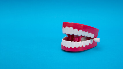 Modeling tooth and gum toys on a blue background.