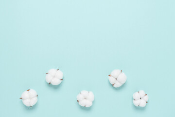 Beautiful floral composition. Cotton flowers on pastel blue paper background. Top view, flat lay, place for your text