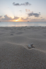 the white sand on the beach with the sunset in the background - vertical