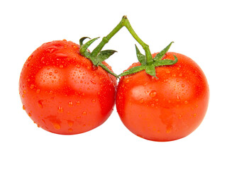 Fresh red tomato with wet drops isolated on the white background