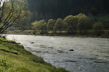landscape photography, the Prut river in the Ukrainian Carpathians, a view of the mountain river 