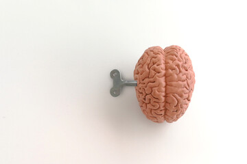 Brains on the winding / Using the brain for ideas / Brain drive