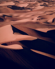 Fototapeta na wymiar Sands Dunes of Liwa desert in the United Arab Emirates