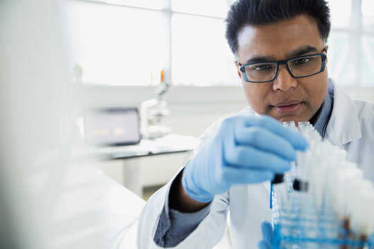 Scientist examining test tubes in tray