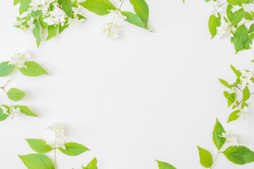 Flat lay composition with branches and green leaves, jasmine flowers on a white background