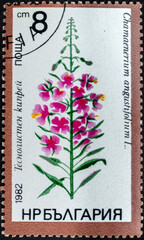 Postage stamp 'Chamerion angustifolium' printed in Bulgaria. Series: 'Plant, Flower', 1982
