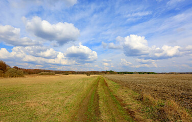 Obraz premium ground road in spring steppe