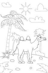 Jungle, Africa safari animal Camel coloring book edicational illustration for children. Vector white black cartoon outline illustration