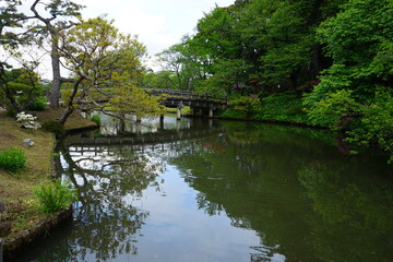 Fototapeta na wymiar Traditional Japanese Garden, Scenic view of calm pond, wooden bridge and pine tree - 日本庭園 池 松の木 橋 