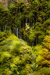 Light waterfall in green landscape