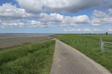 Fototapeta na wymiar beautiful dutch coast landscape with a big dike with a road next to the westerschelde sea with big mudflats with low tide in springtime and a blue sky with clouds