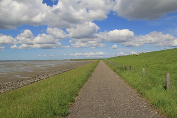 beautiful landscape at the dutch coast in zeeland, the netherlands in springtime with a road at the green dike along the westerschelde sea with mudflats and a blue sky with clouds in springtime