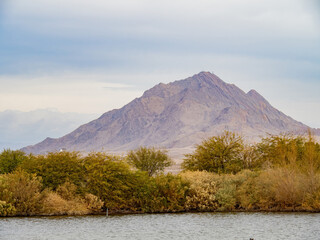 Nature landscape of Henderson Bird Viewing Preserve