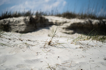 Ocean Isle Beach