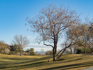 Landscape of the Exploration Peak Park