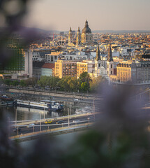 View on Budapest with Elisabeth Bridge in spring