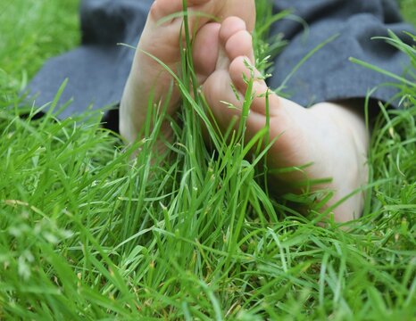 Low Section Of Man In Grass