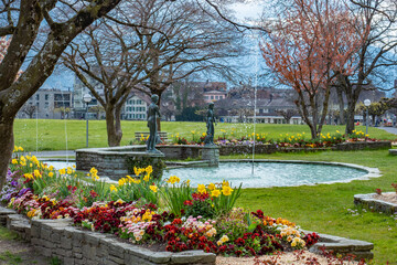 Fototapety na wymiar - Fototapeta24.pl