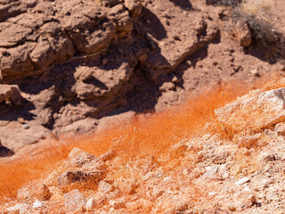 Hiking in the Arizona Hot Spring Trail