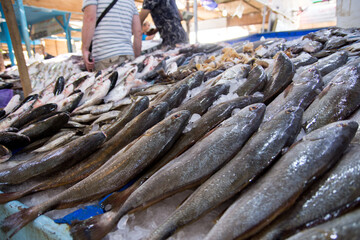 Fresh frozen sea fish on the fish  market