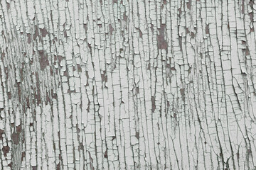Horizontal picture of light grey cracked backdrop. Old grey wooden wall in pastel tone.