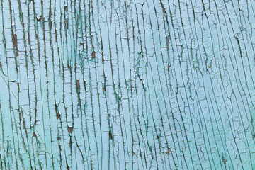 Fototapeta premium Cracked wooden surface on the wall, blue abstract backdrop with vintage effects.