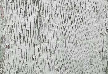 Light grey cracked wooden surface close-up.
