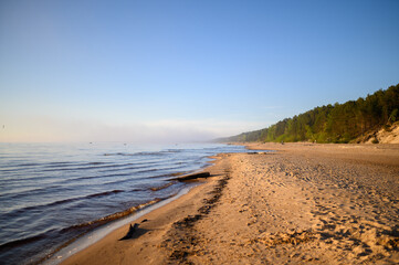 Calm evening at the beach of Baltic sea with birds flying, small waves green forest and sand on beach