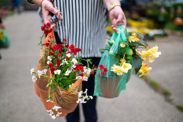 Woman holding variety of plants and flowers in shopping bag at flower market, selective focus on flowers