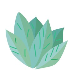 Simple doodle of a plant. Leaf from a tree. Vector illustration isolated on white background. hand-drawn.