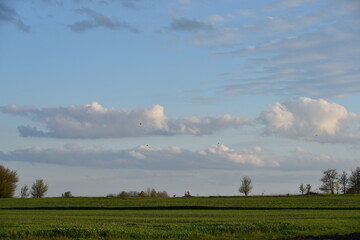 Amazing landscape in village, nature photo for cover,typography 