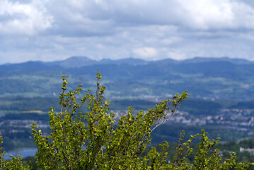 Landscape with mountains in the background seen from wooden lookout named Loorenkopfturm (Loorenkopf tower). Photo taken May 18th, 2021, Zurich, Switzerland.
