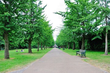 The greenery view in Bute Park in the city of Cardiff, capital of Wales, UK