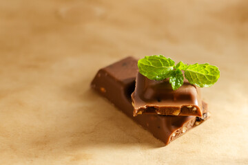 Peppermint and pieces of milk chocolate on a coffee background