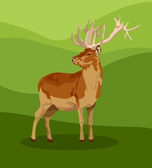 male and female European fallow deer. Deer brown or red deer. Wild animals of Europe, America and Scandinavia. Vector illustration of a young sika deer grazing in a forest glade