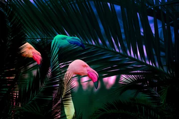 Gardinen Dschungelhintergrund mit bunten Flamingovögeln, die sich in den Blättern verstecken © tommoh29