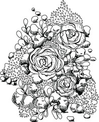 Black and white drawing of plants, florarium, moss, succulents, roses.